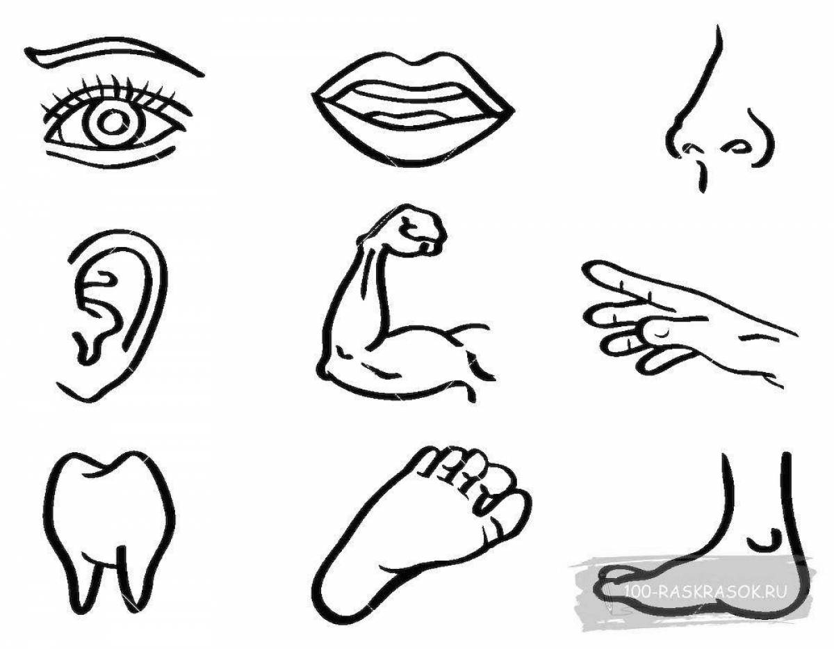 Coloring page of funny body parts