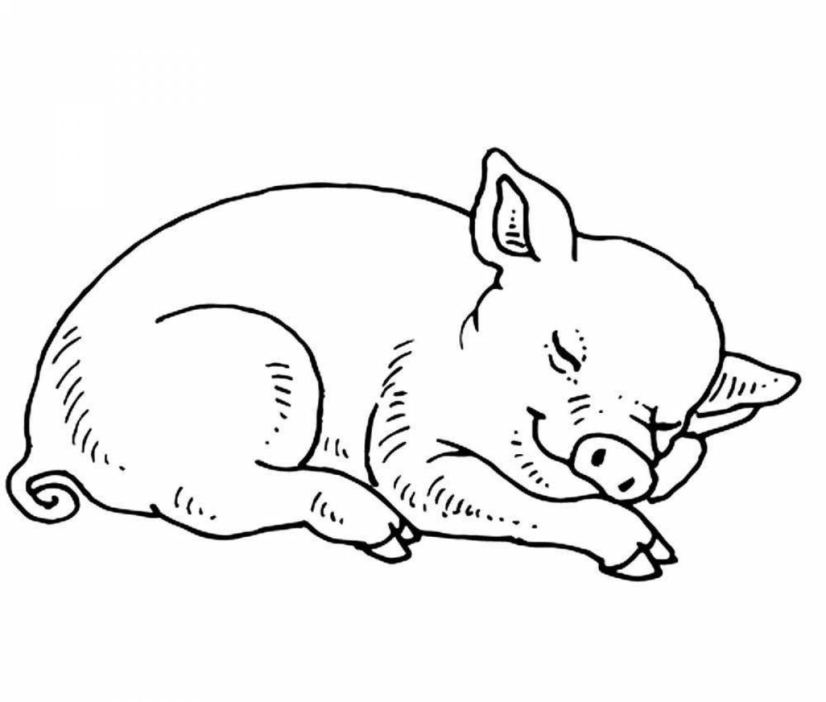 Fun coloring pig for kids