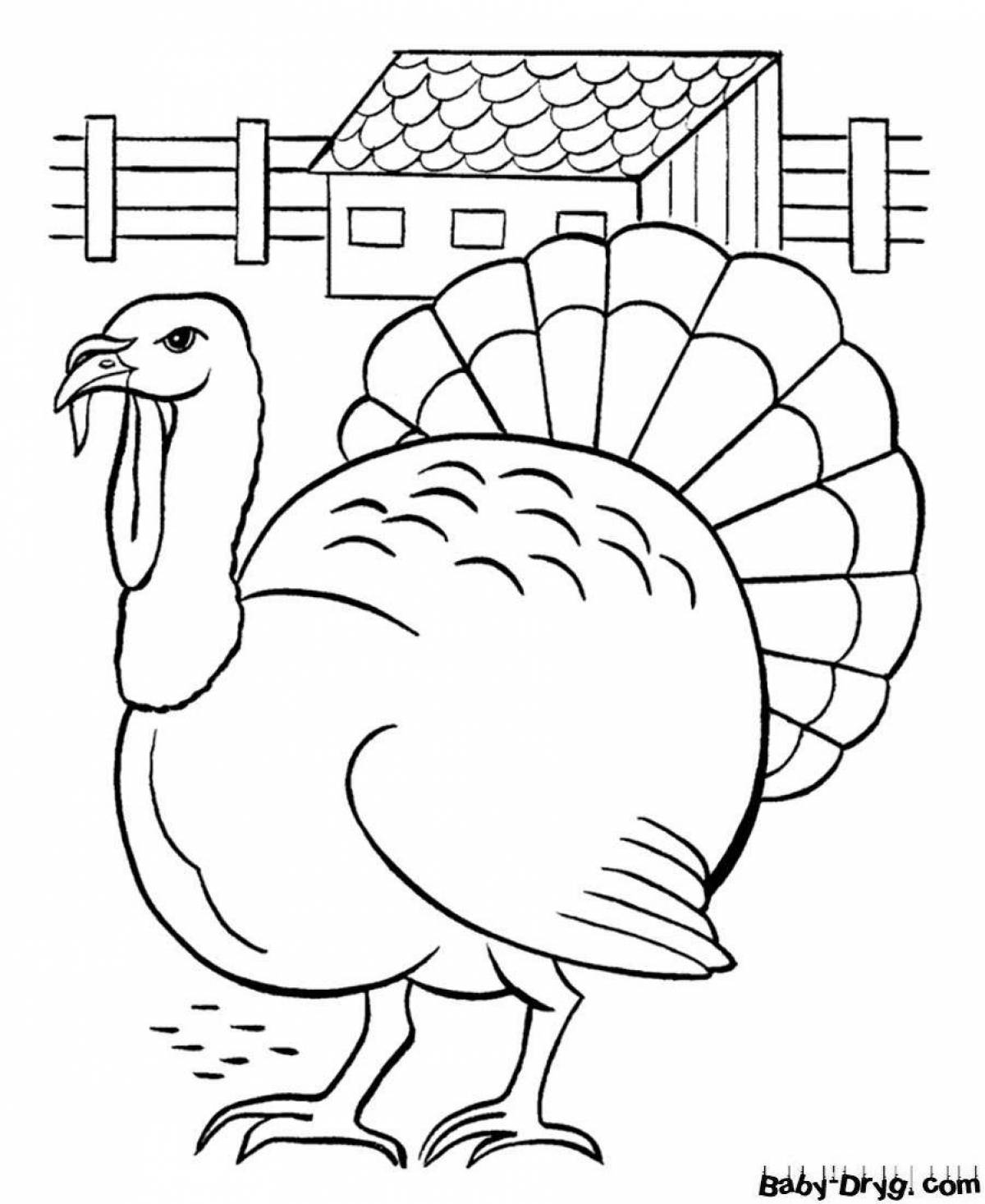 Merry turkey coloring book for kids