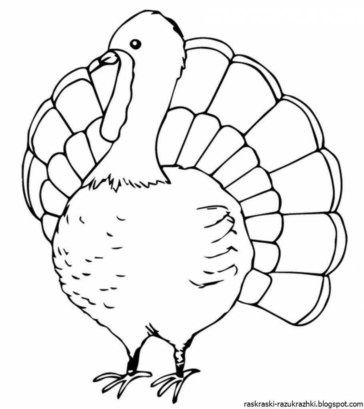 Playful turkey coloring book for kids