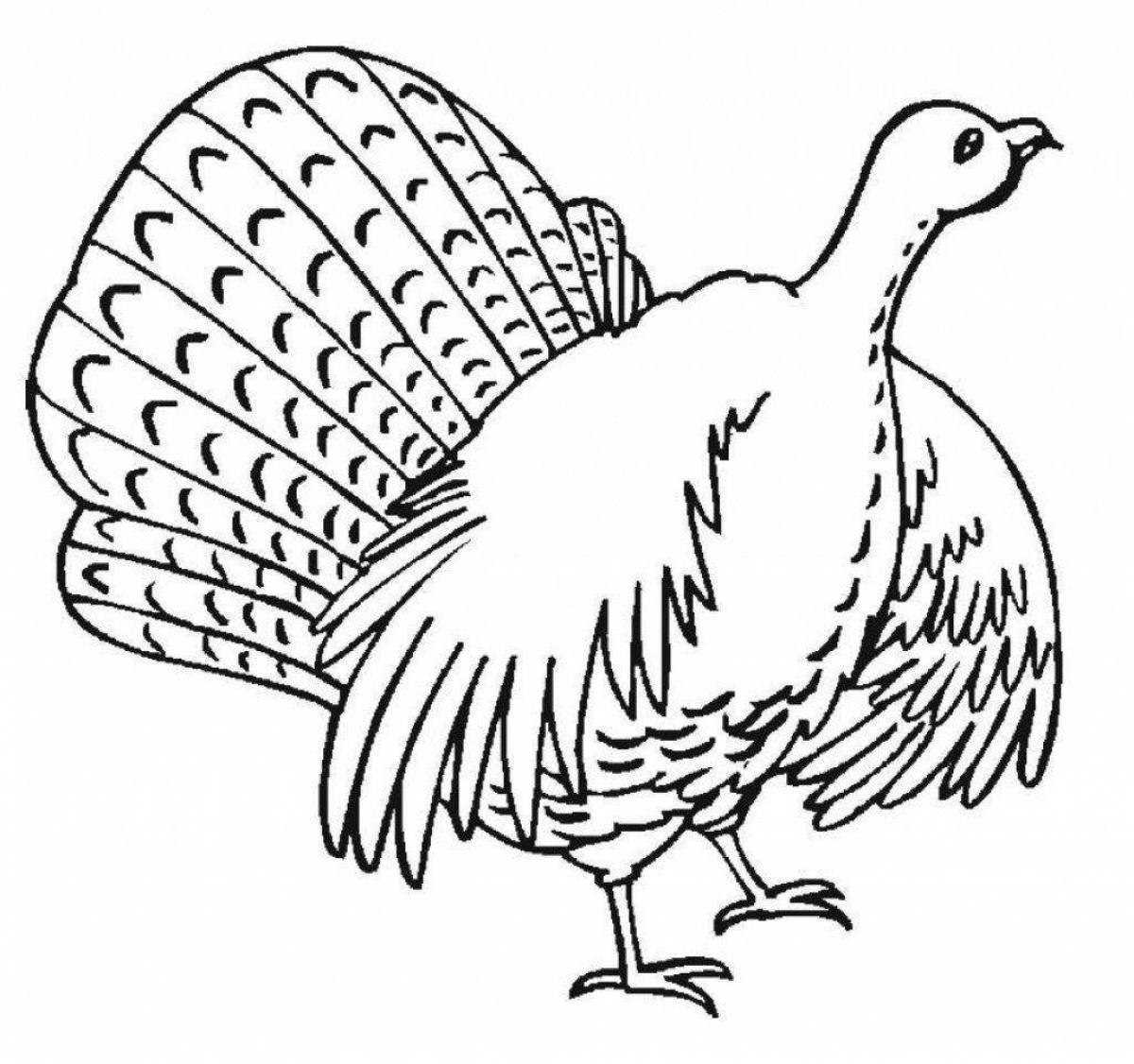 Exciting turkey coloring book for kids