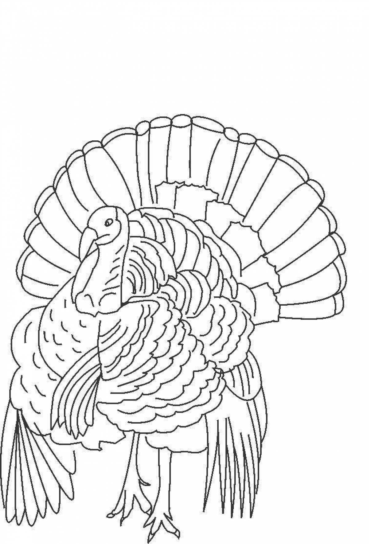 Creative turkey coloring pages for kids