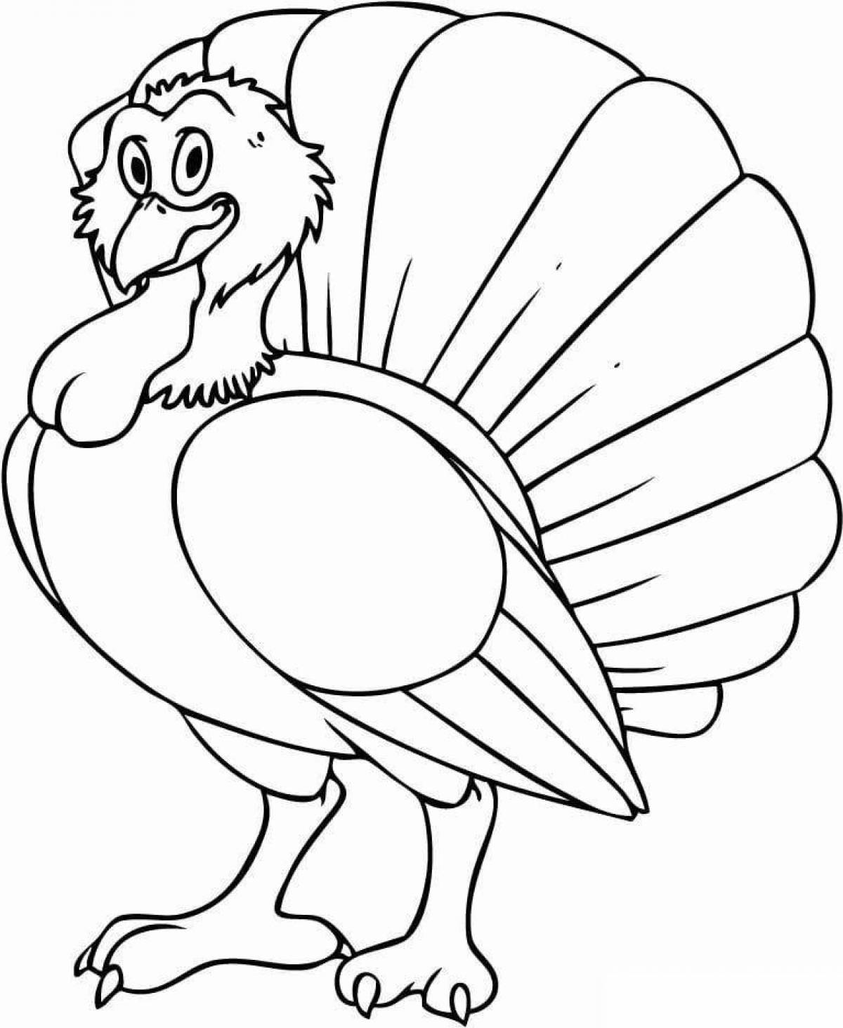 Cute turkey coloring book for kids