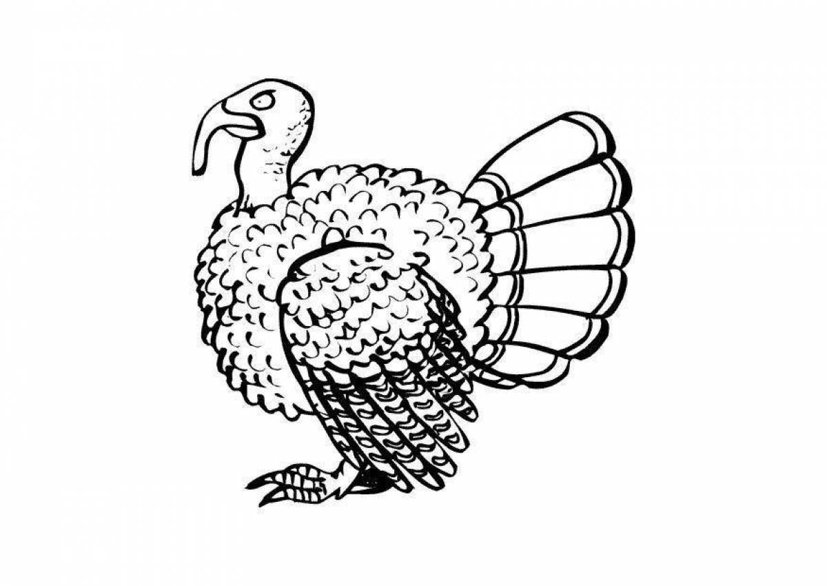 Beautiful turkey coloring book for kids