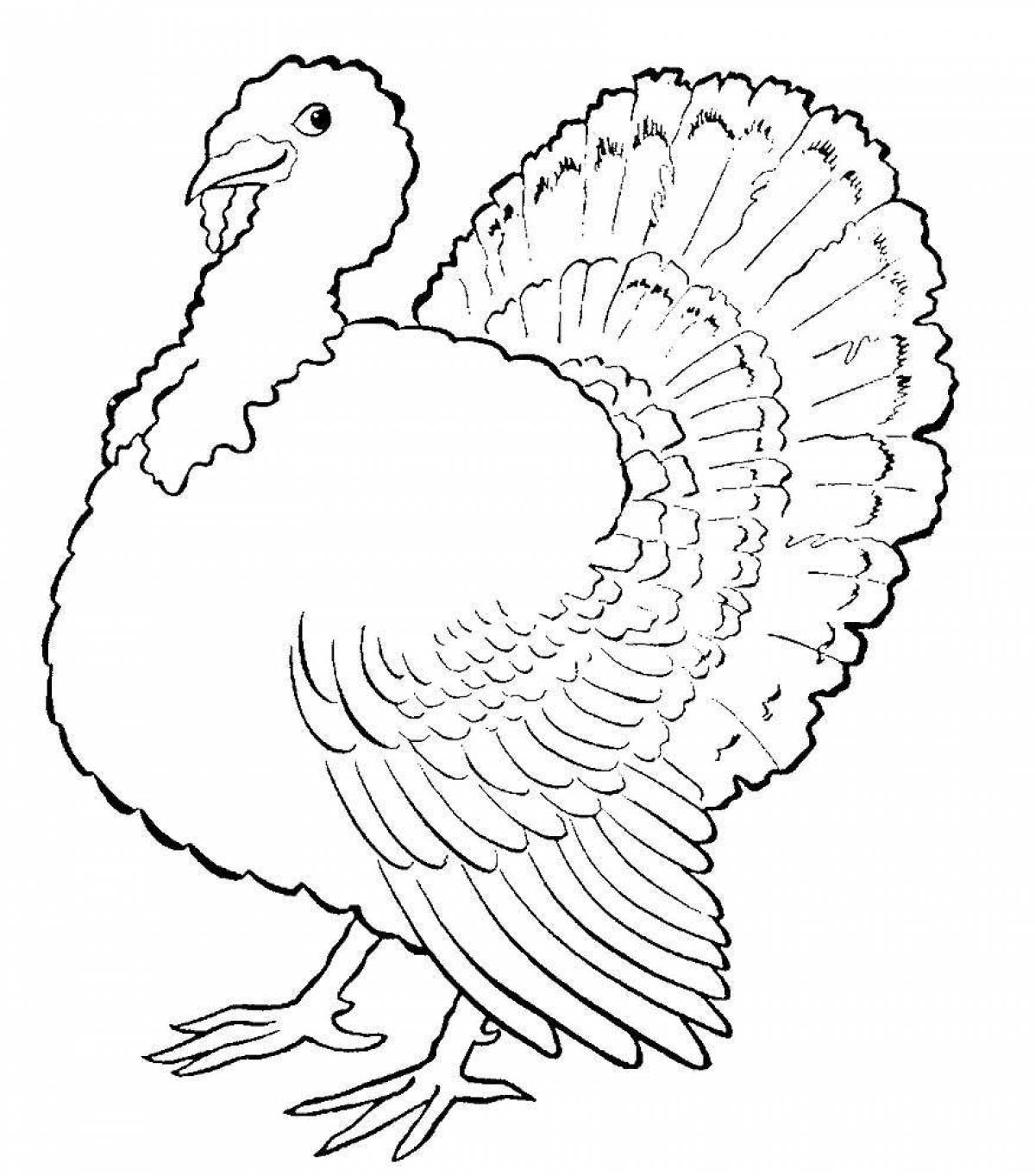 Fancy turkey coloring book for kids