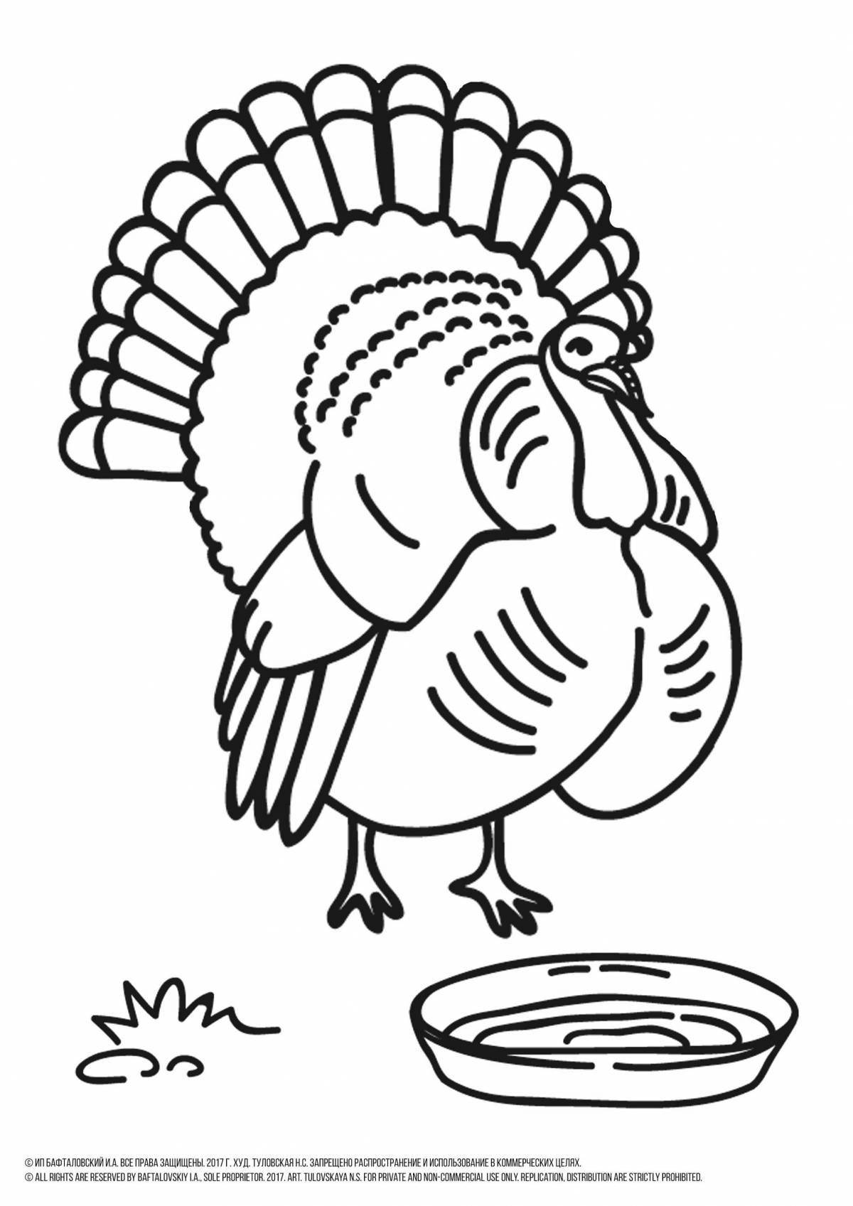 Delightful turkey coloring book for kids