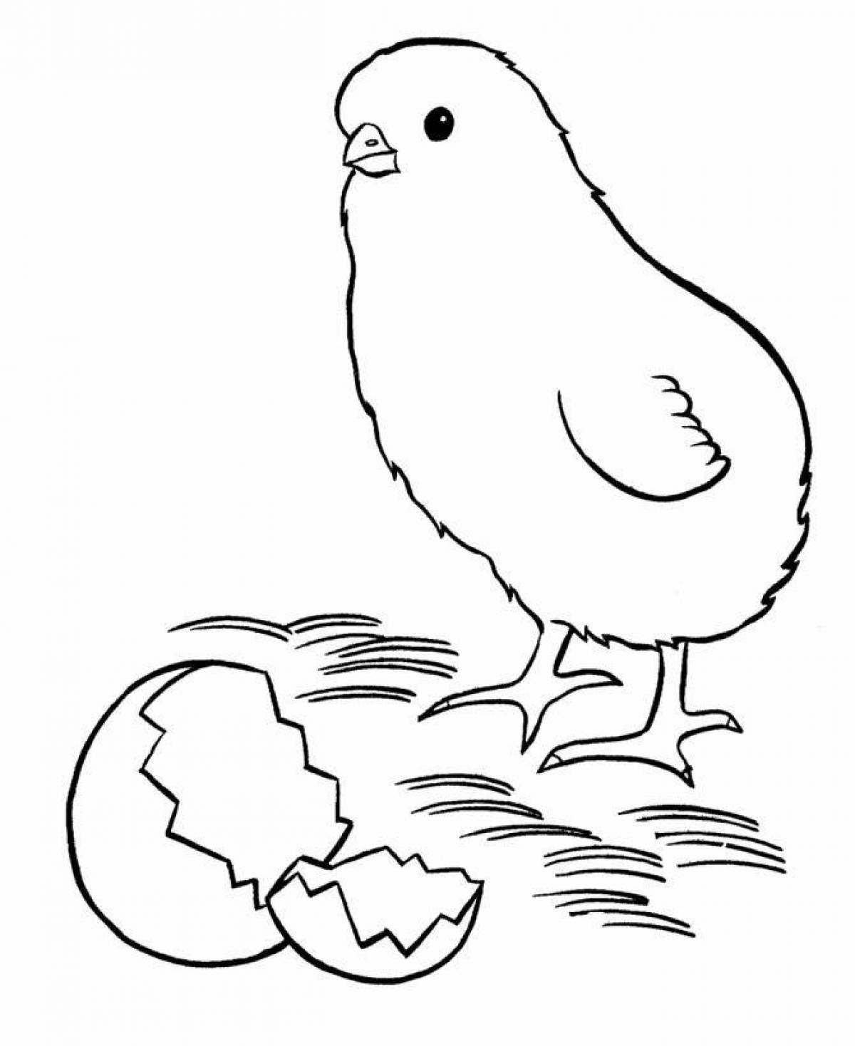 Adorable chicken coloring book for 3-4 year olds