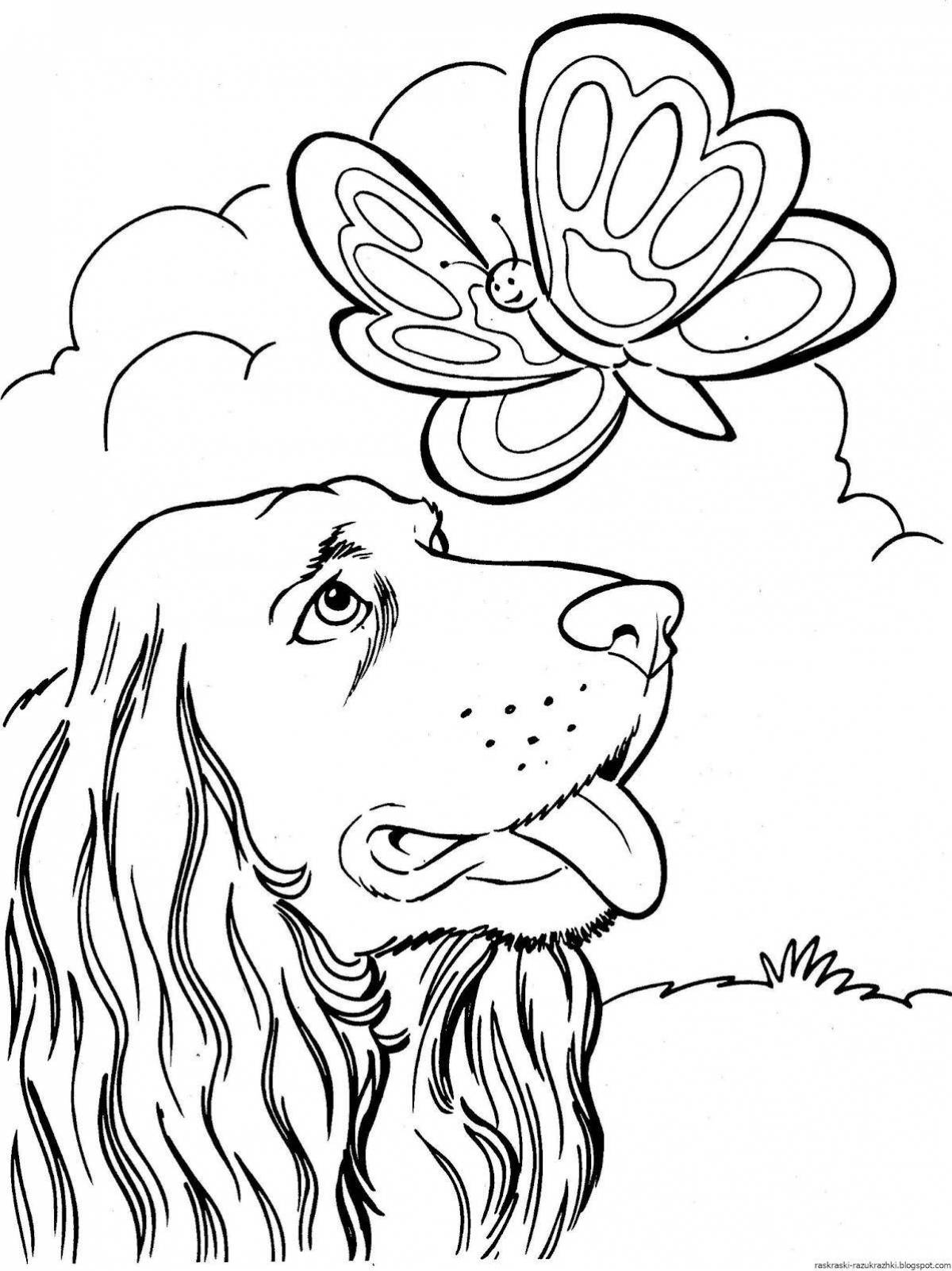 Funny coloring for girls 12 years old animals