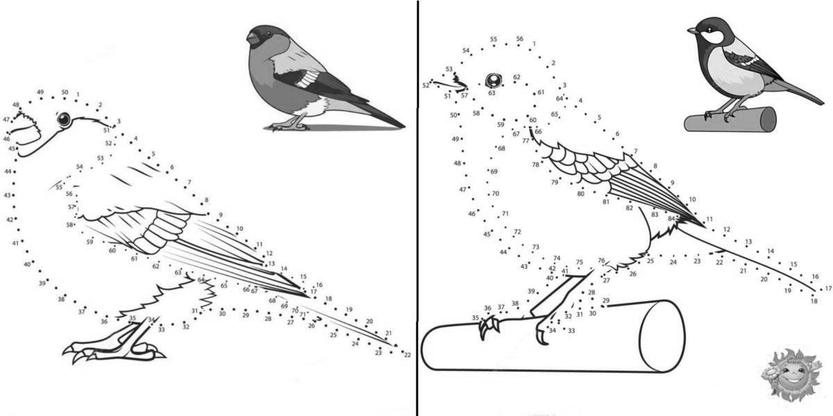 Раскраска веселые зимующие птицы для детей 3-4 лет