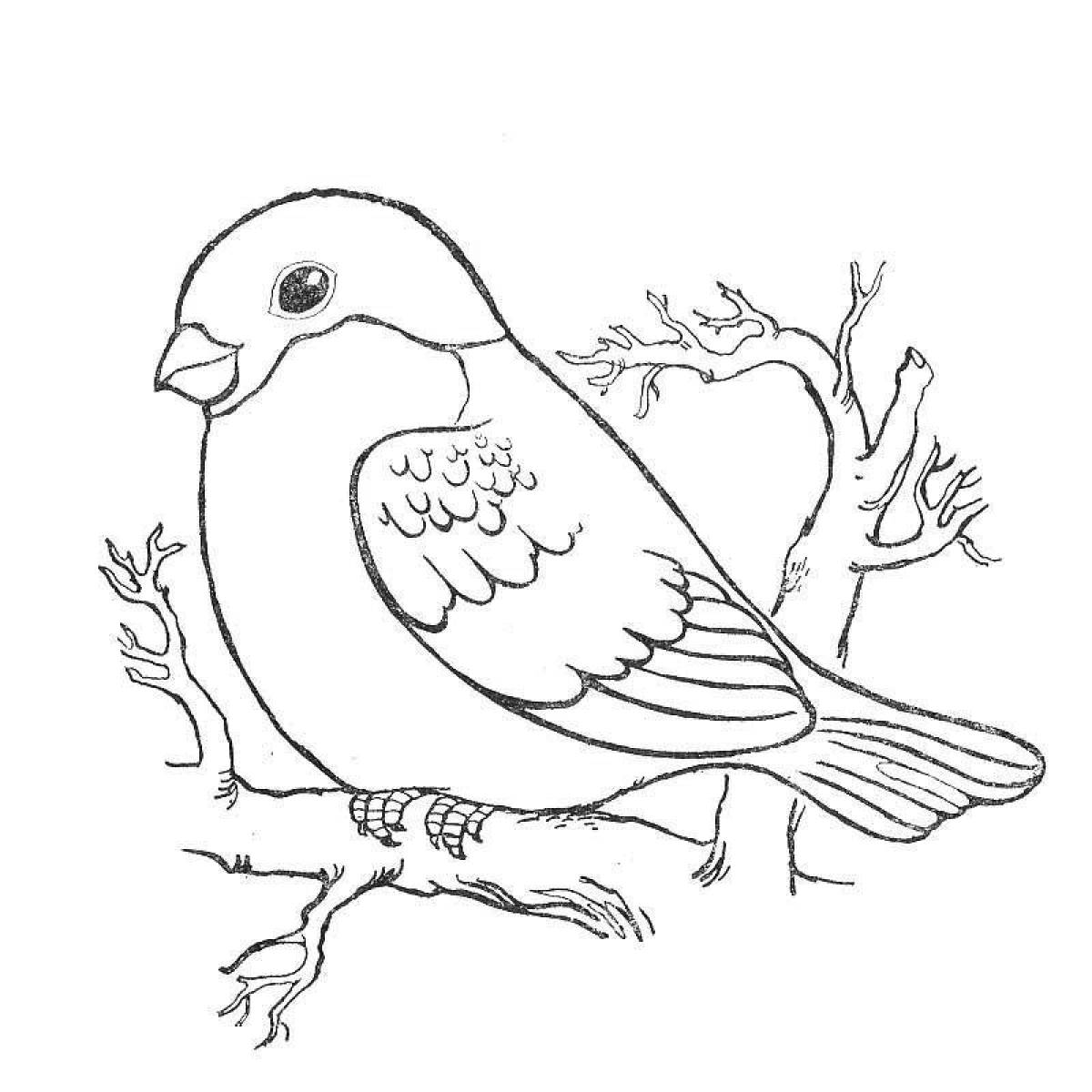 Раскраска «великолепные зимующие птицы» для детей 3-4 лет