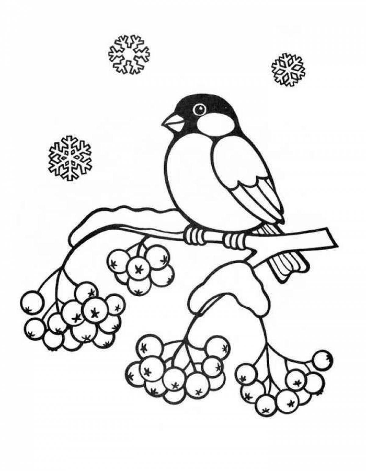 Coloring book of glorious wintering birds for children 3-4 years old