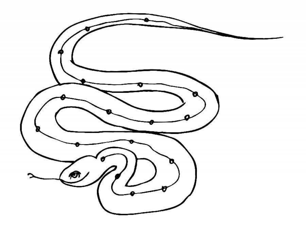 Яркая раскраска змея