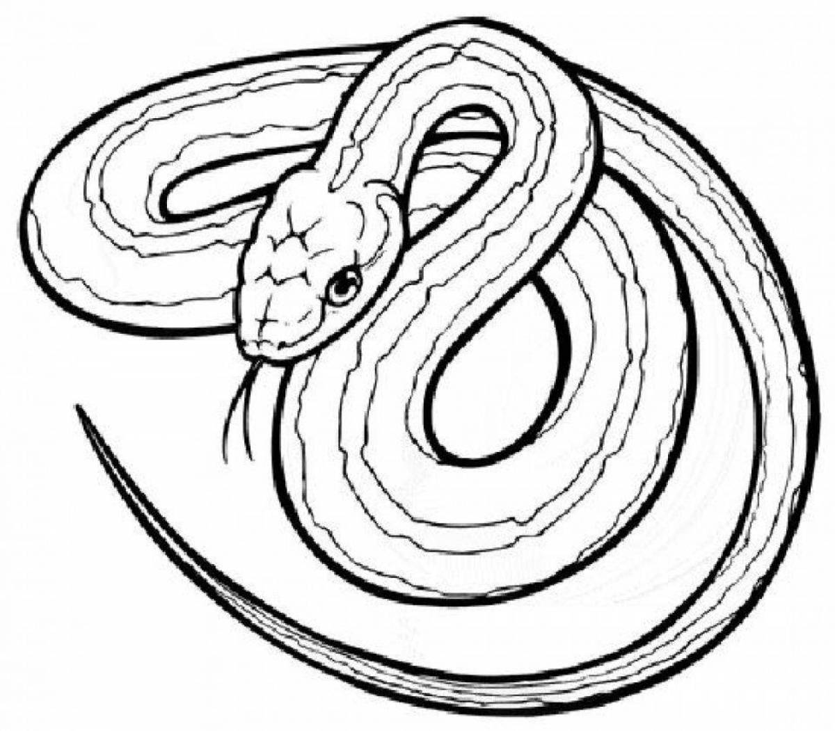 Shiny snake coloring book