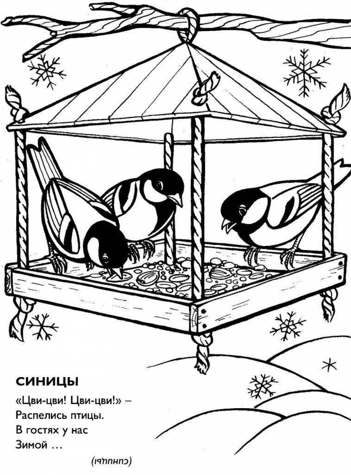 Раскраска птицы на кормушке для детей распечатать