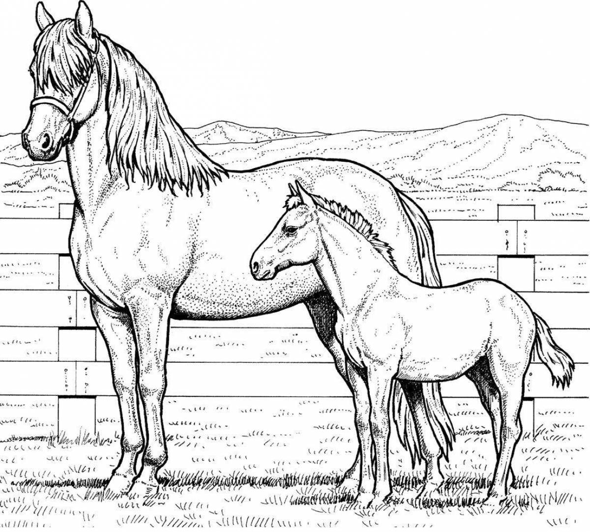 Яркая раскраска лошадь для детей