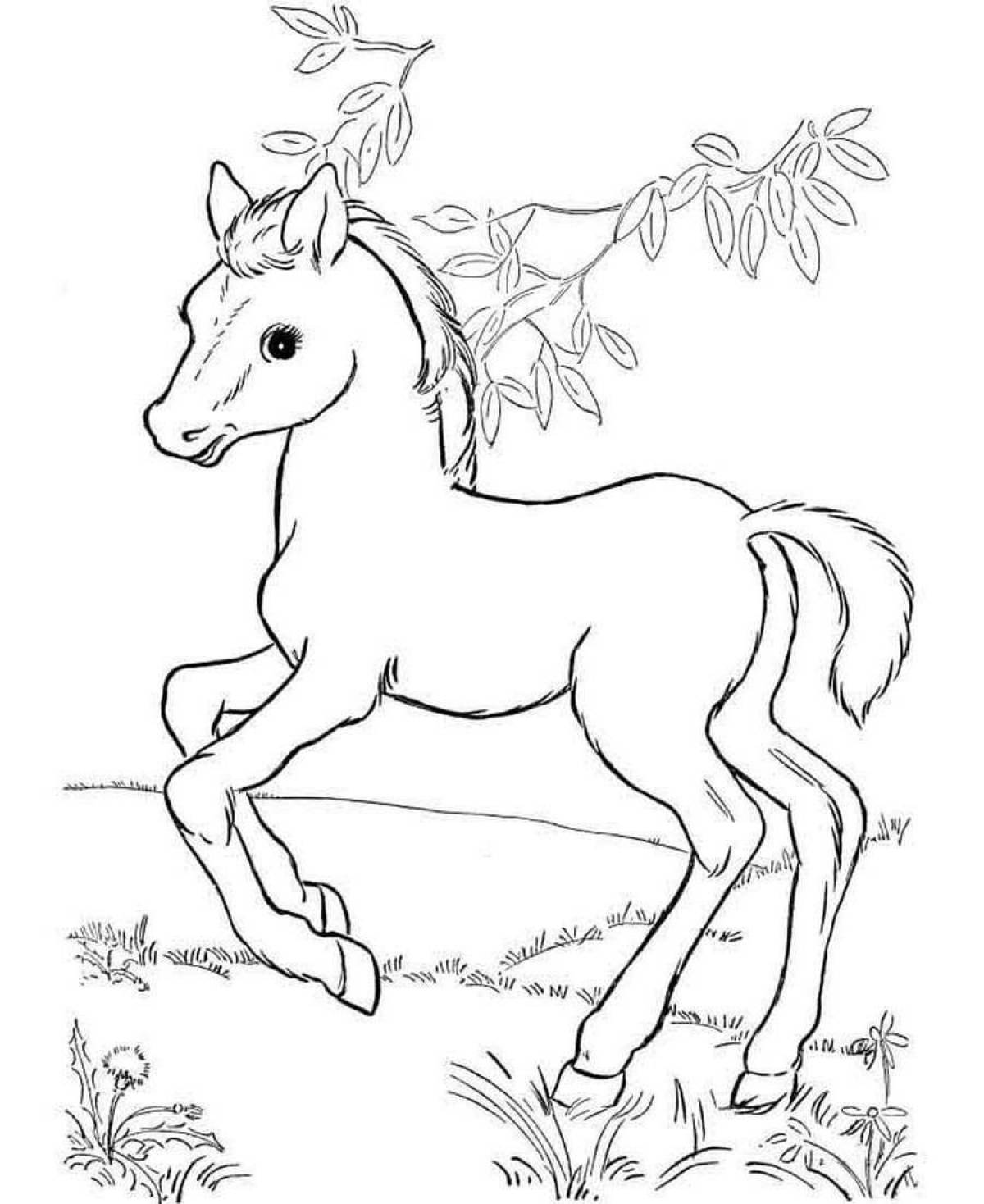 Adorable horse coloring book for kids