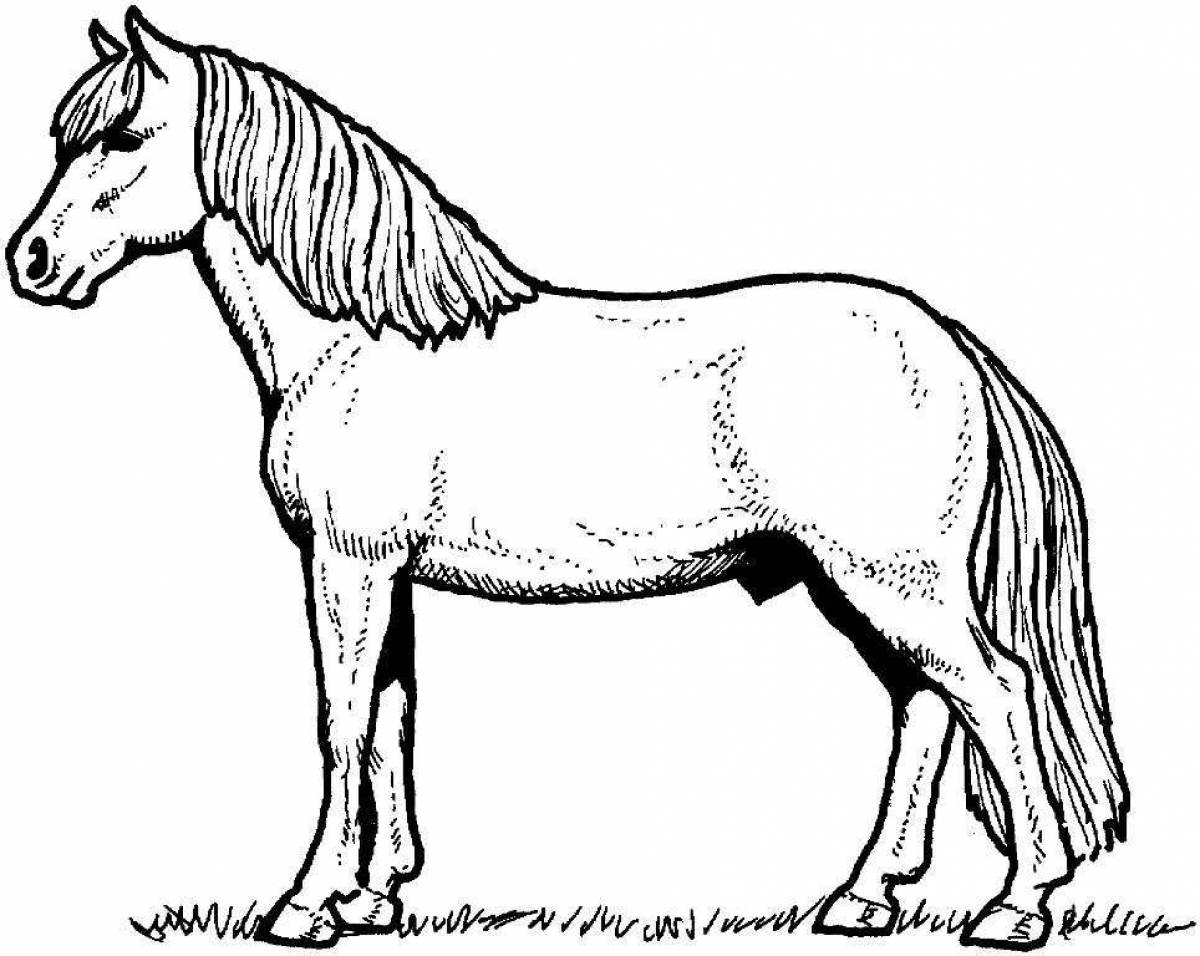 Буйная раскраска лошадь для детей