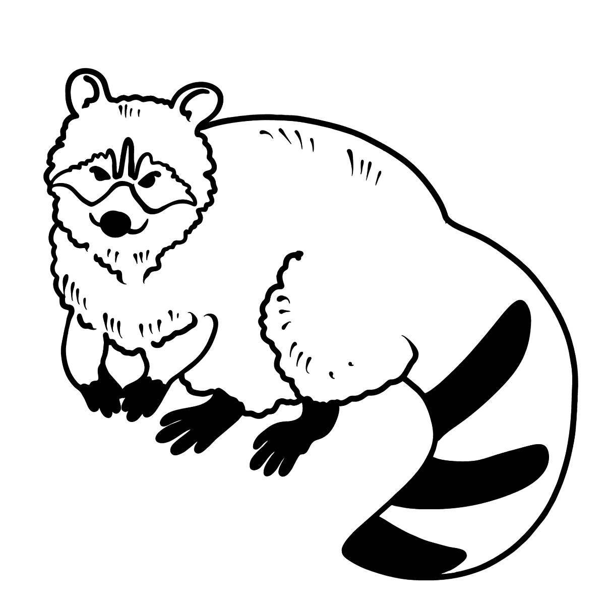 Adorable raccoon coloring book for kids