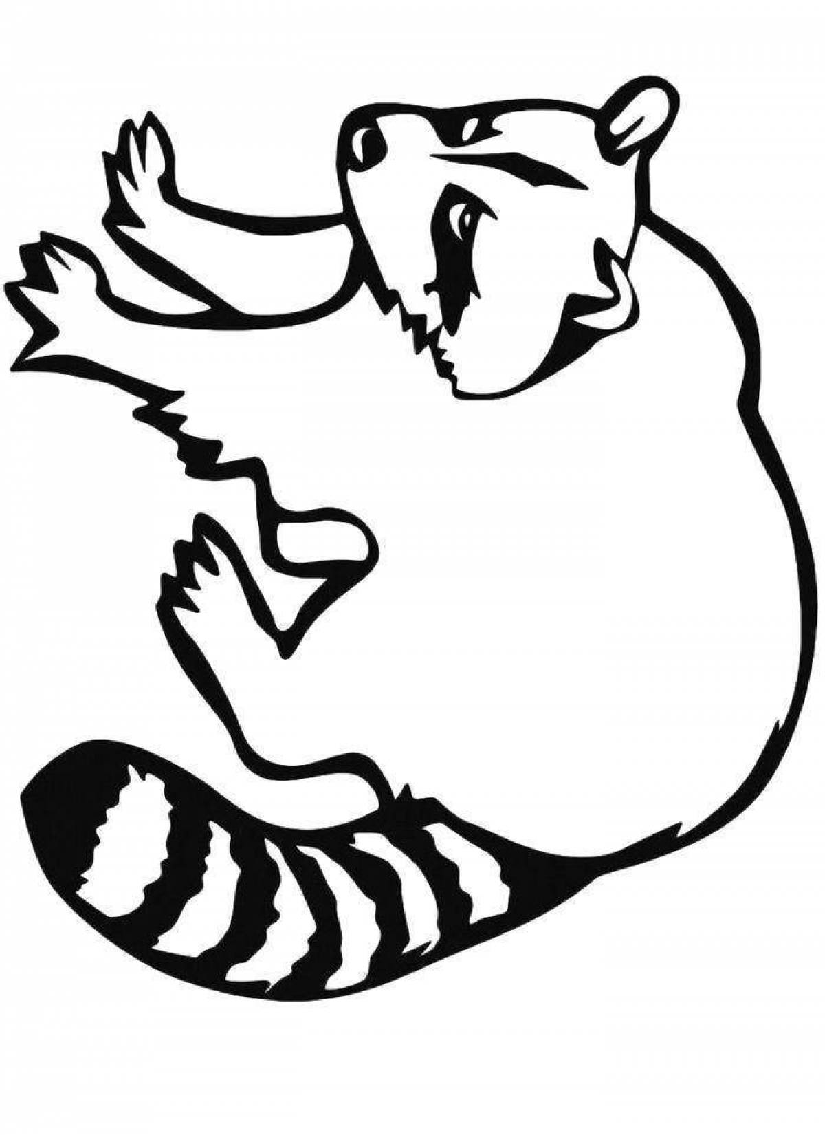 Colouring funny raccoon for kids