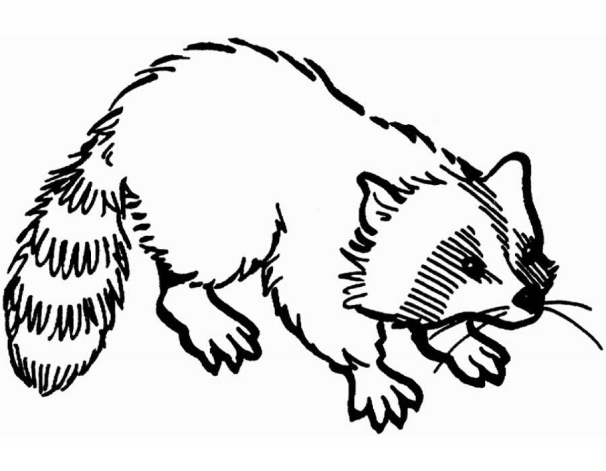 Fun coloring raccoon for kids