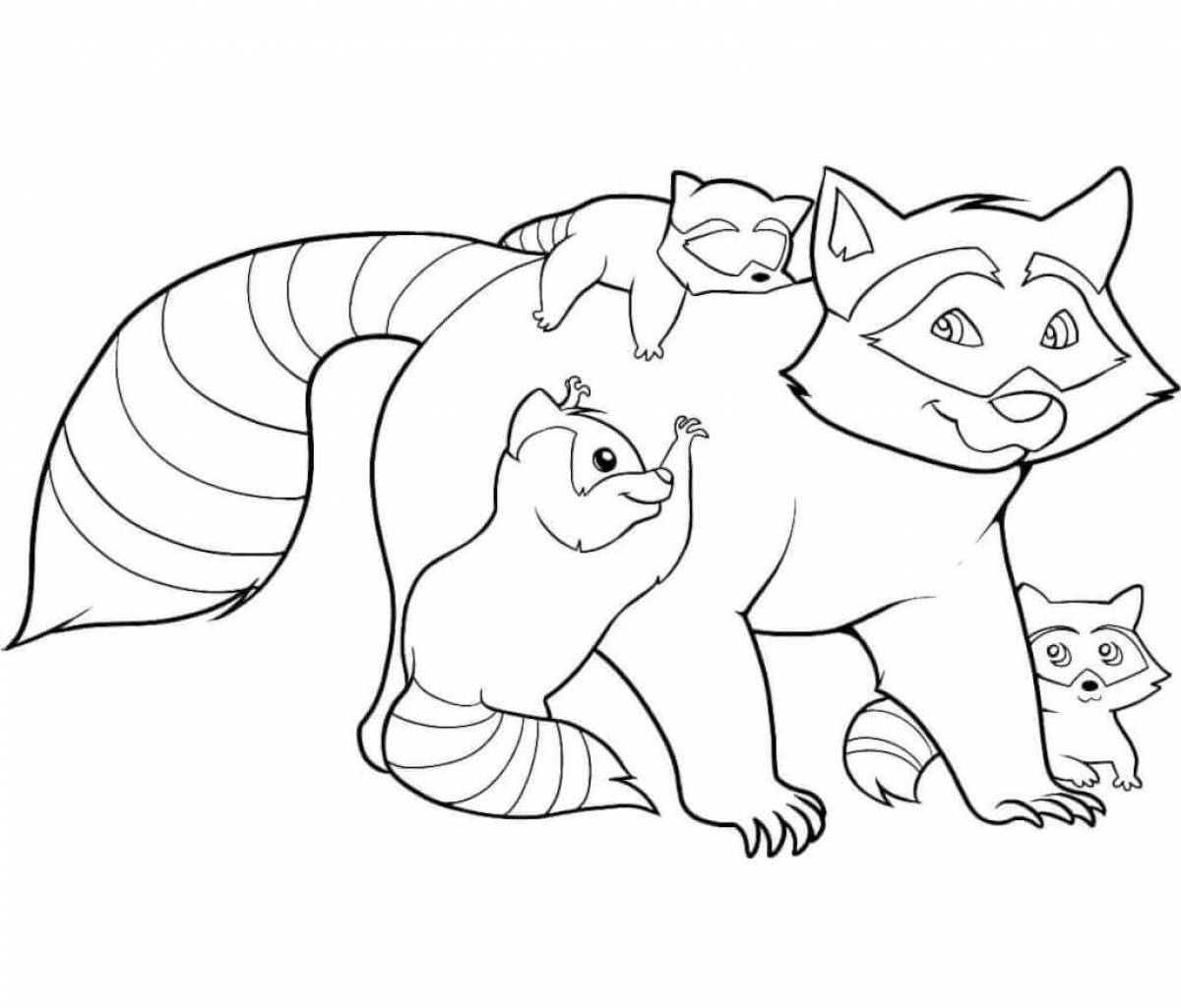 A funny raccoon coloring book for kids