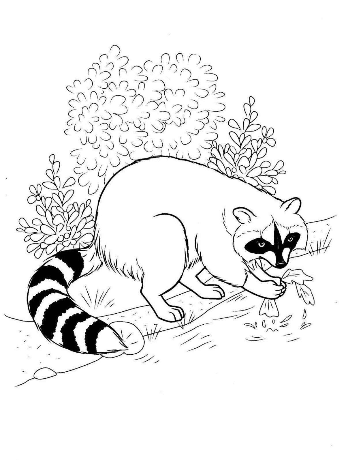Colorful raccoon coloring book for kids