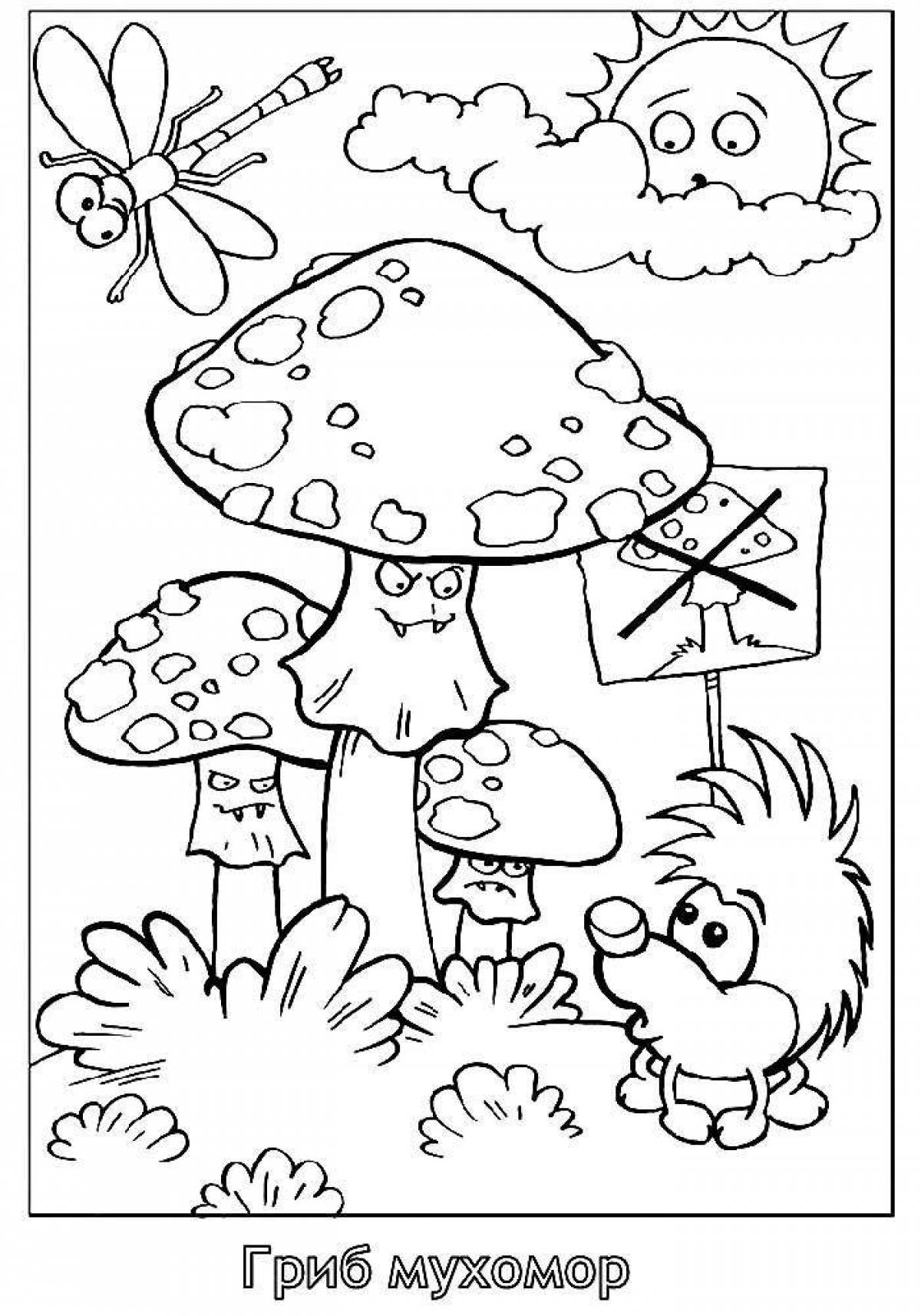 Colorful fly agaric coloring book for kids