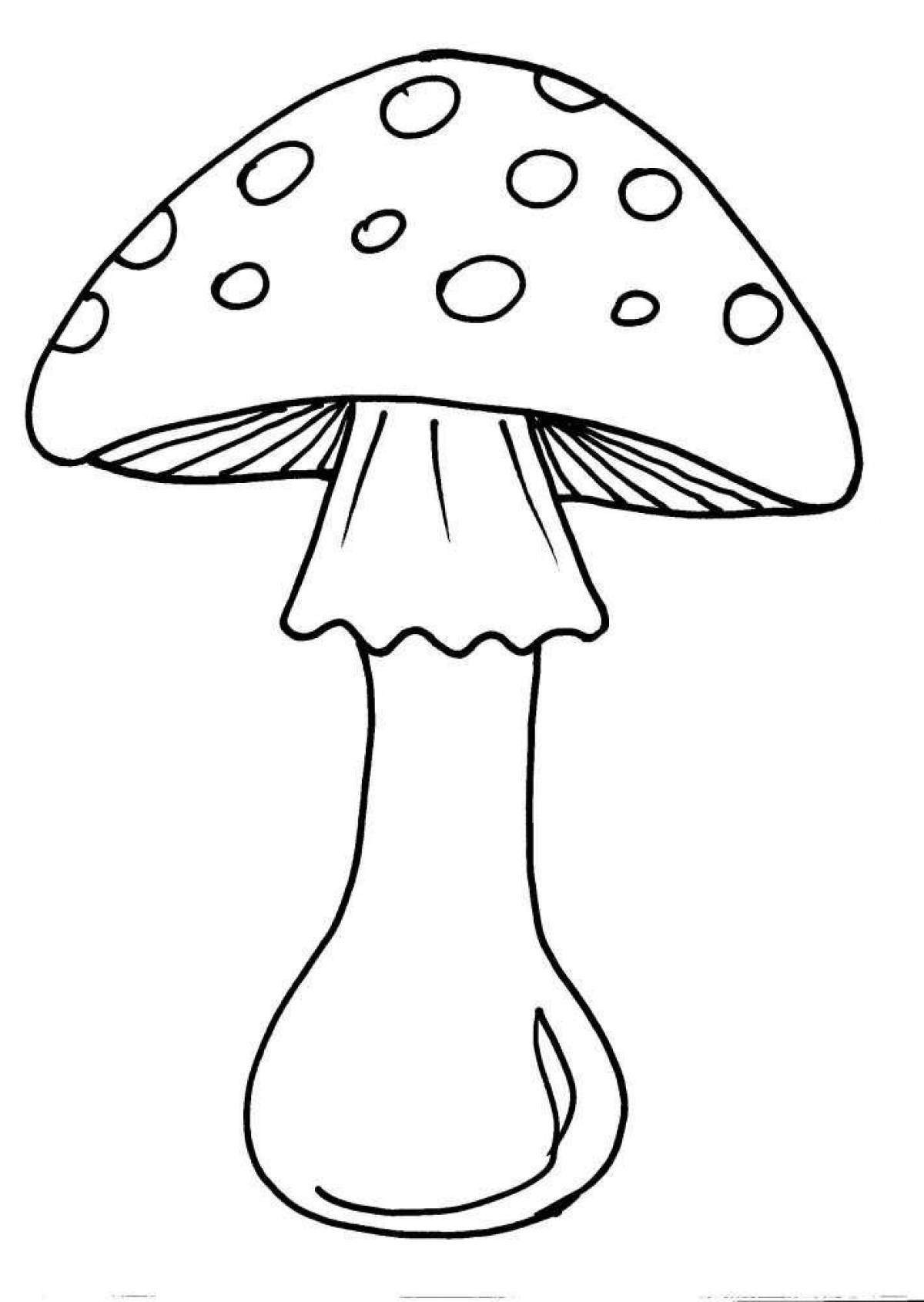 Adorable fly agaric coloring book for kids