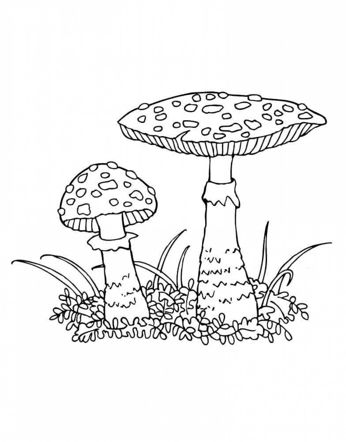 Bright coloring fly agaric for children