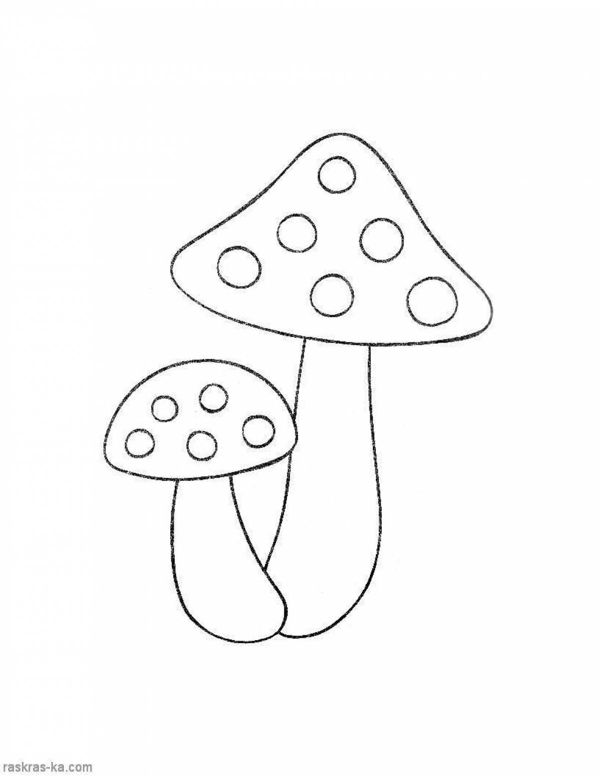 Exquisite fly agaric coloring book for kids