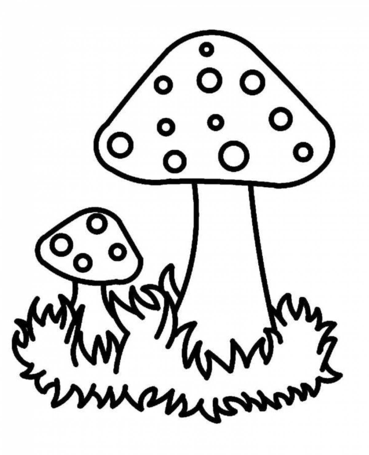 Cute fly agaric coloring book for kids