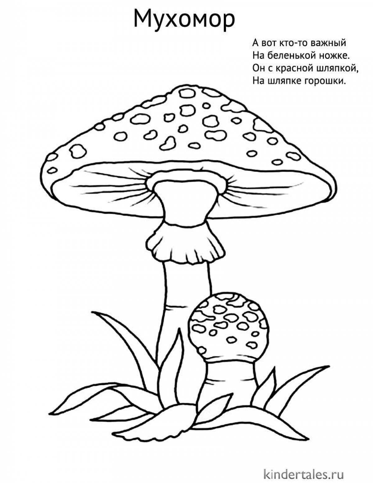 Sweet fly agaric coloring pages for kids