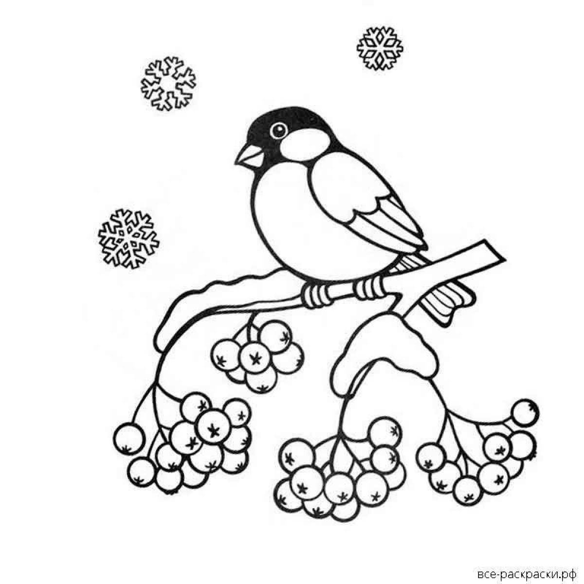 Vivid wintering birds coloring page