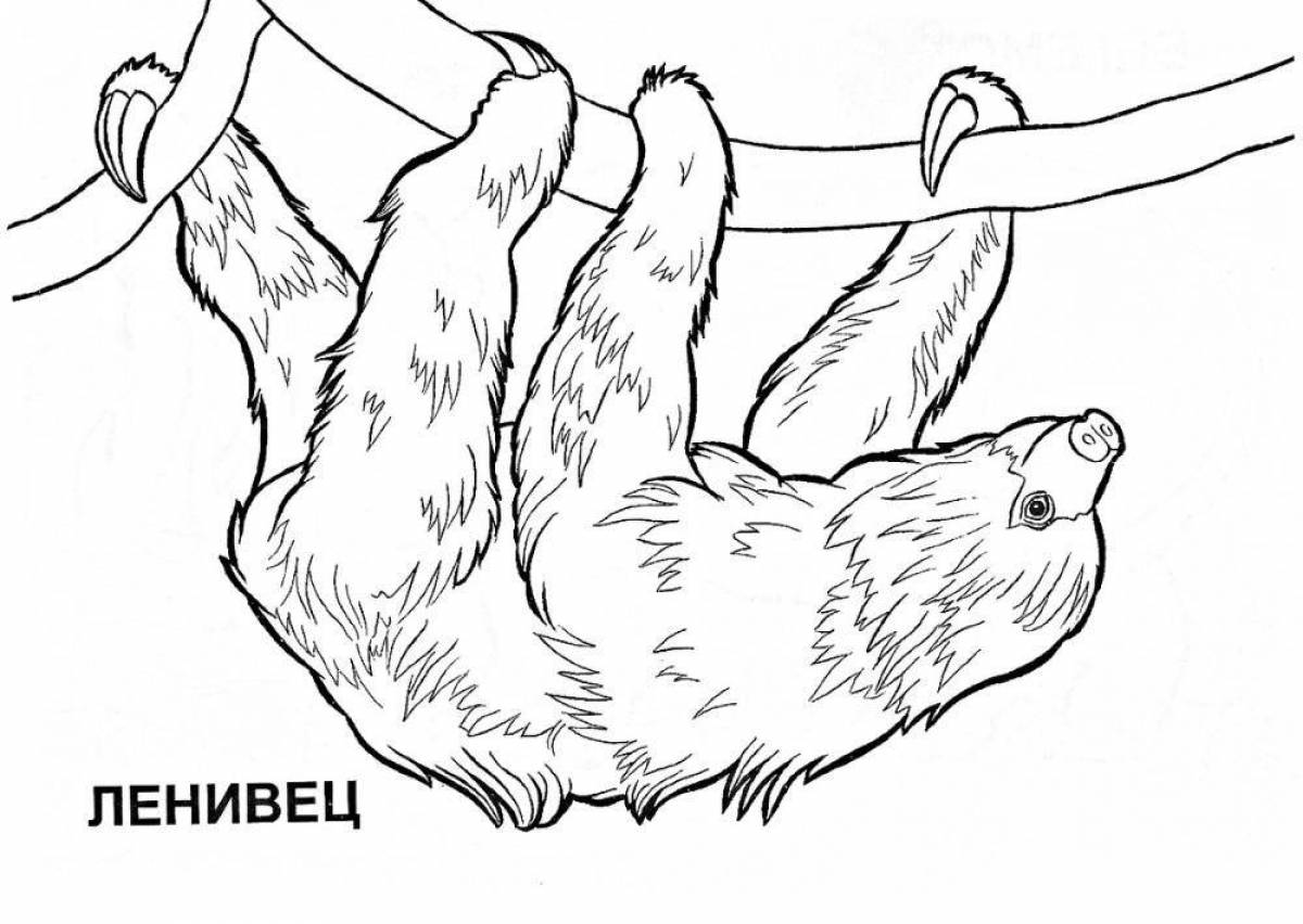 A funny sloth coloring book