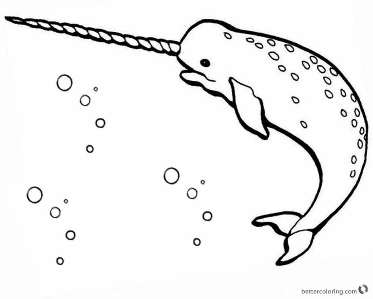 Colorful coloring of narwhal