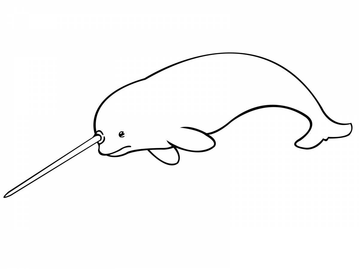 Charming narwhal coloring book