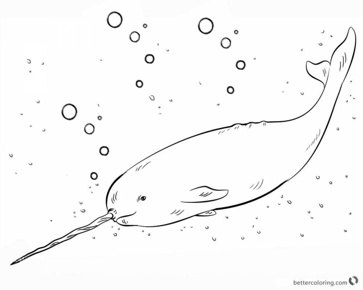 Bright coloring narwhal