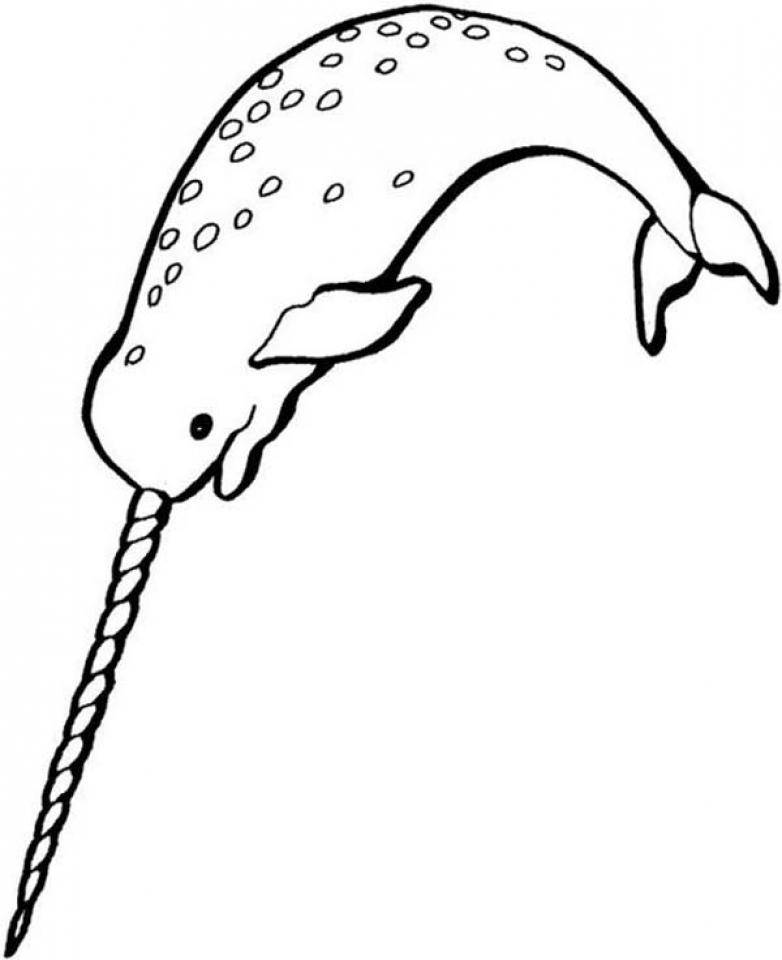 Glorious narwhal coloring book