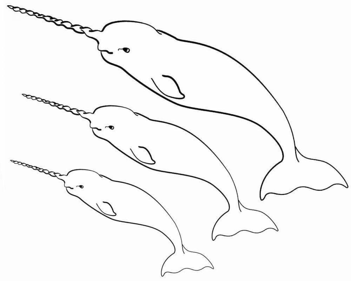 Awesome narwhal coloring book