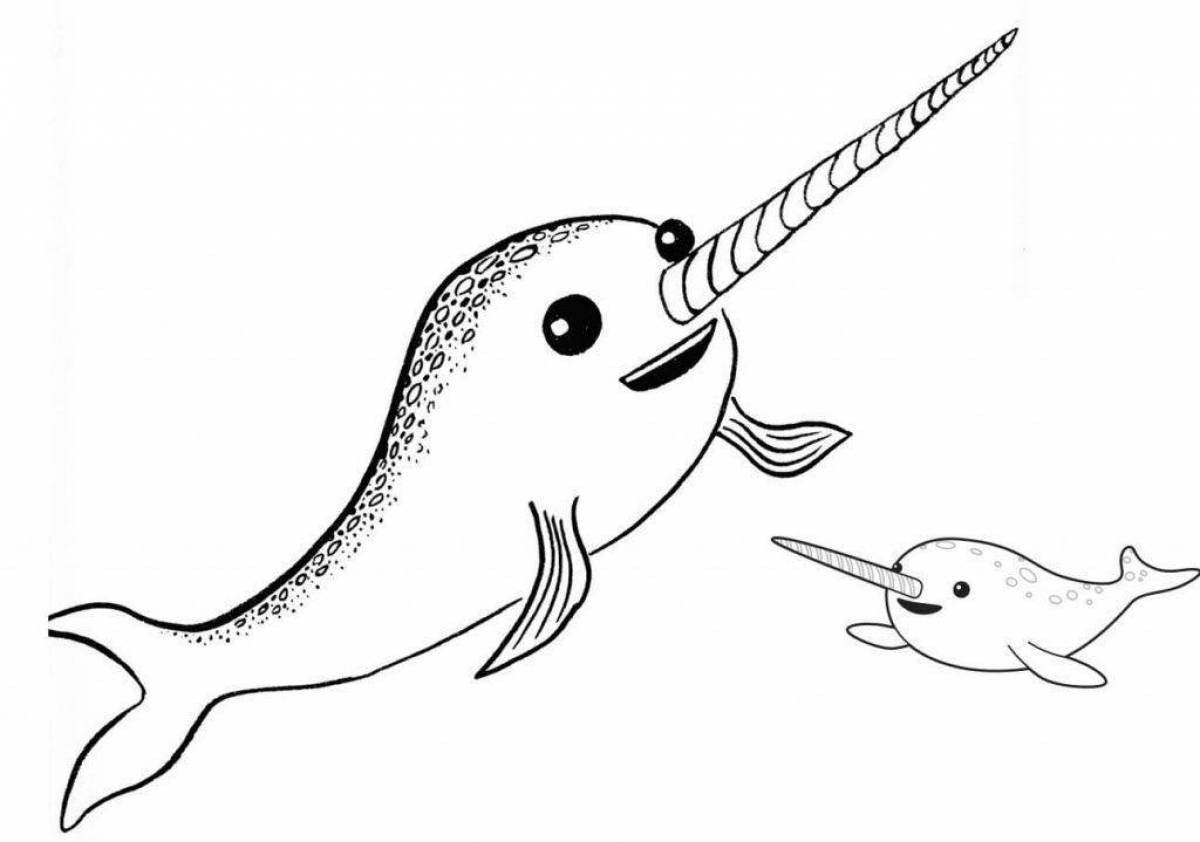 Exotic coloring narwhal