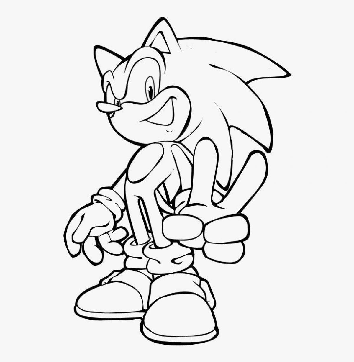 Amazing sonic drawing coloring book