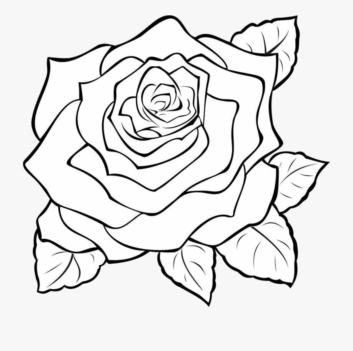 Delightful rose coloring book