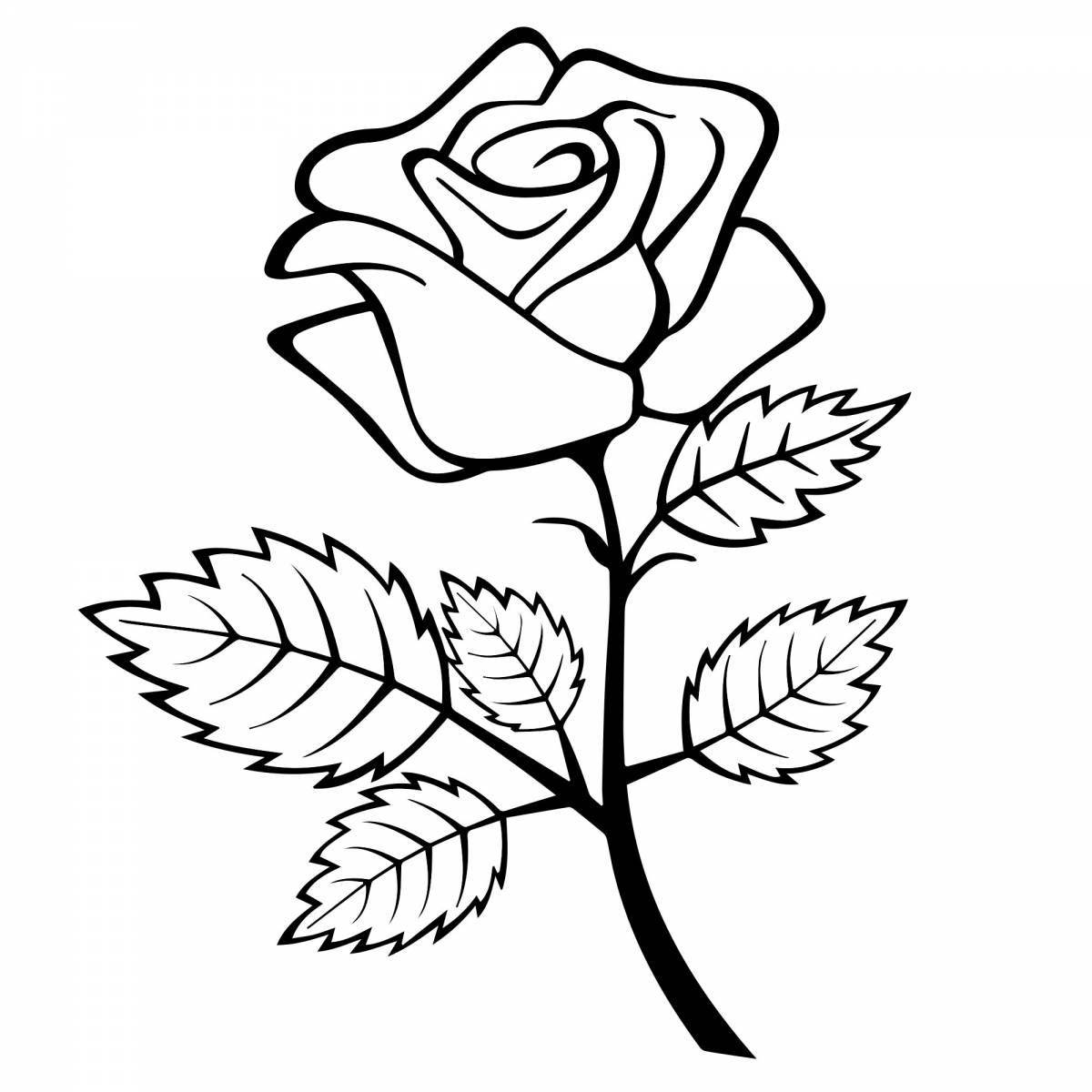 Coloring page elegant rose
