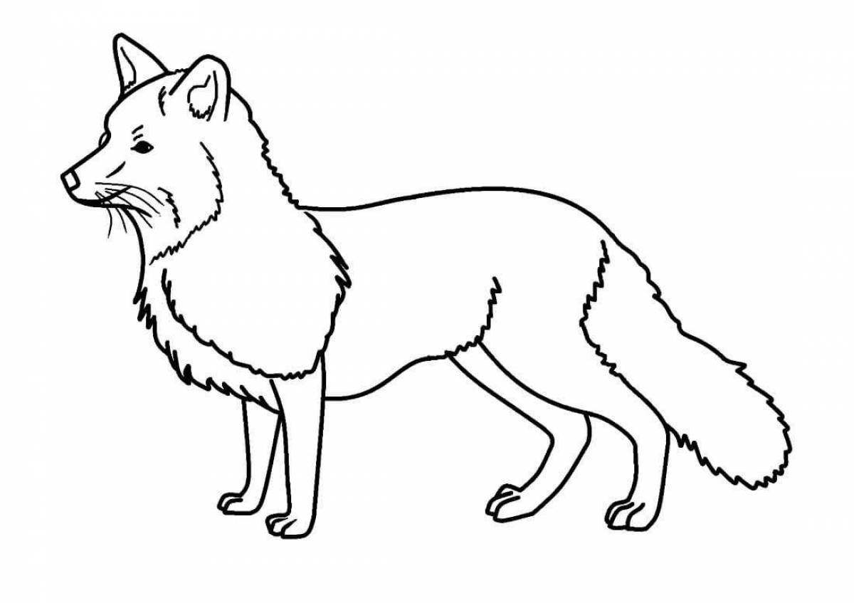 Fluffy fox coloring picture for kids