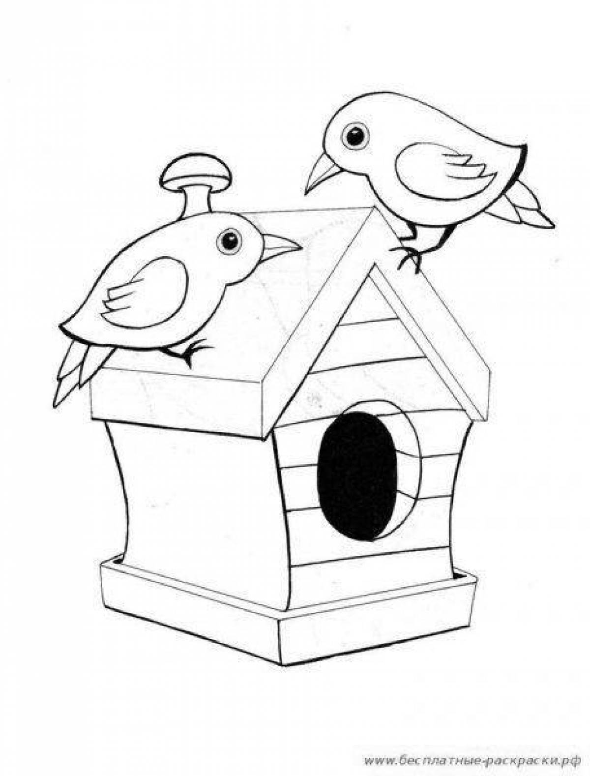 Colorful birdhouse coloring book