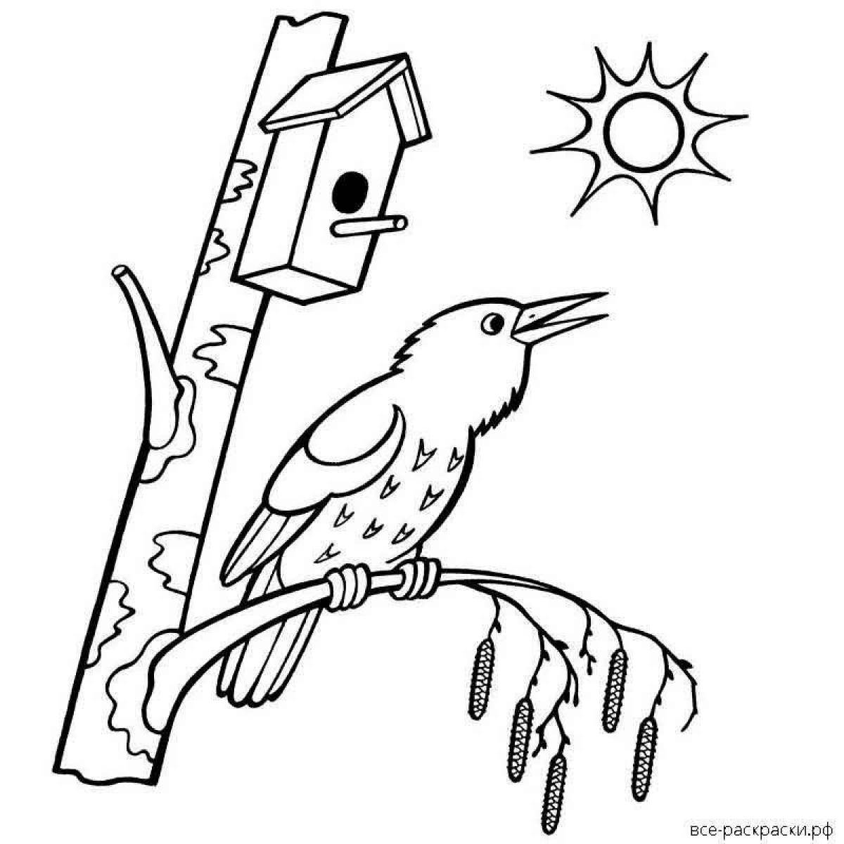 Amazing birdhouse coloring page