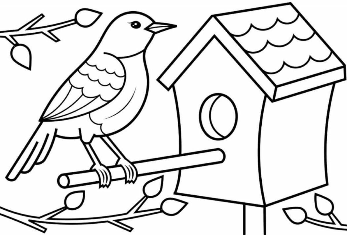 Outstanding birdhouse coloring page