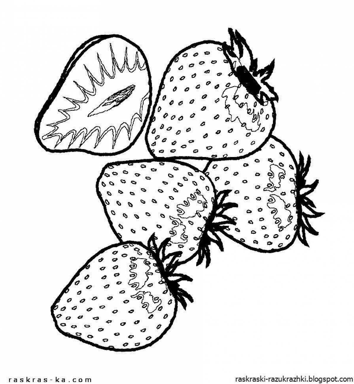 Strawberry holiday coloring book