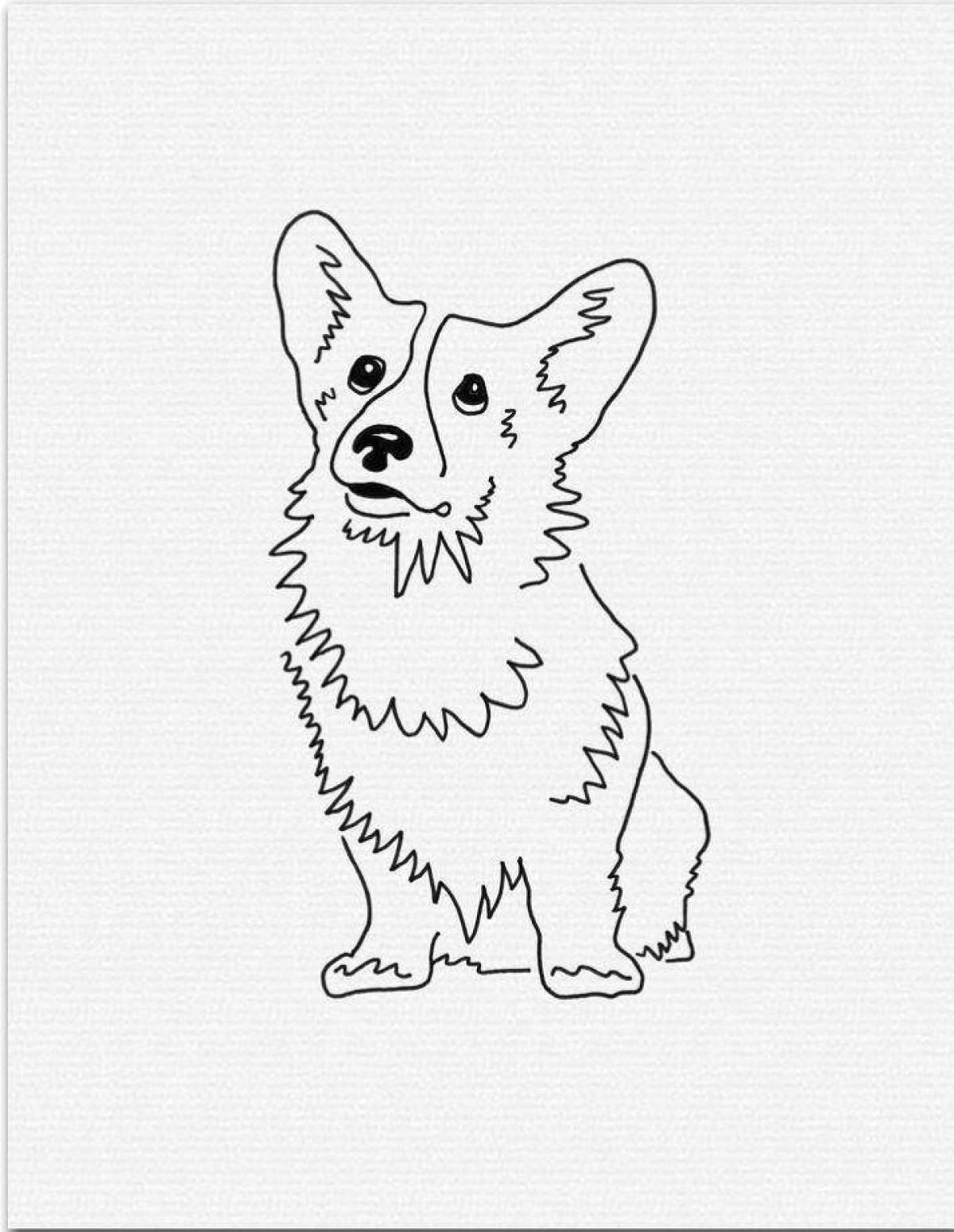 Раскраска очаровательная собака корги