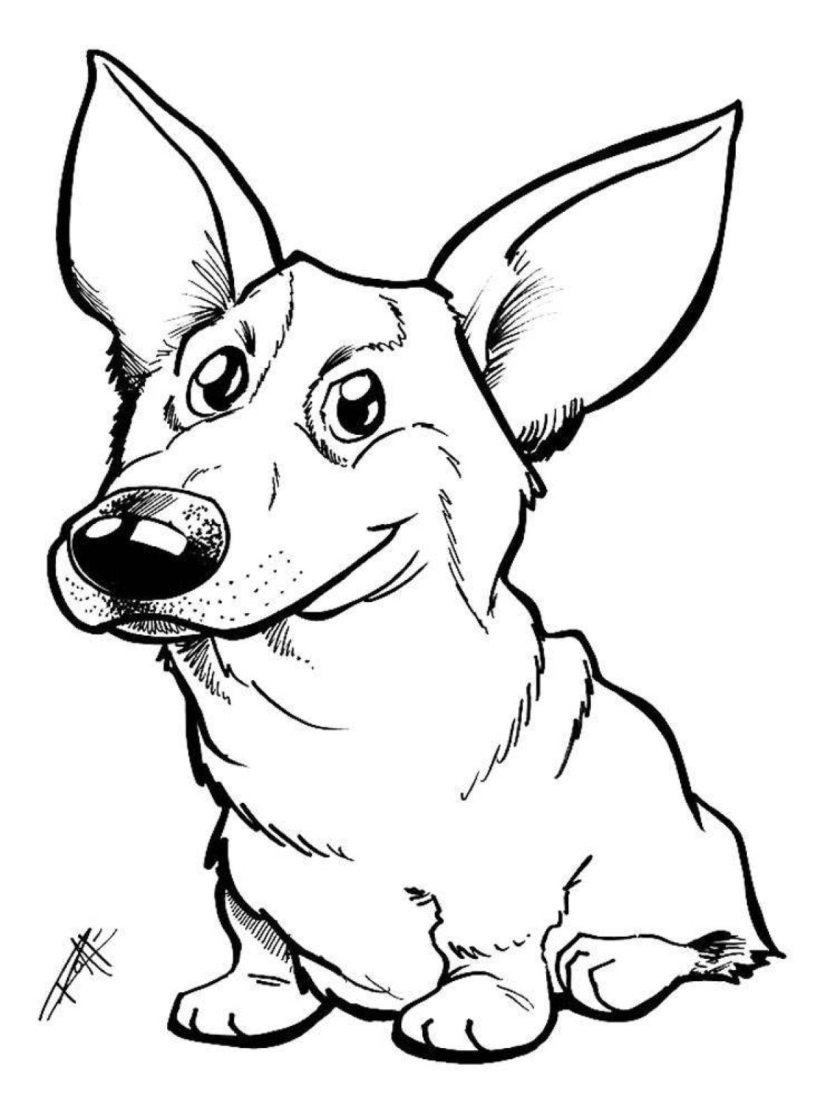 Coloring book brave corgi dog